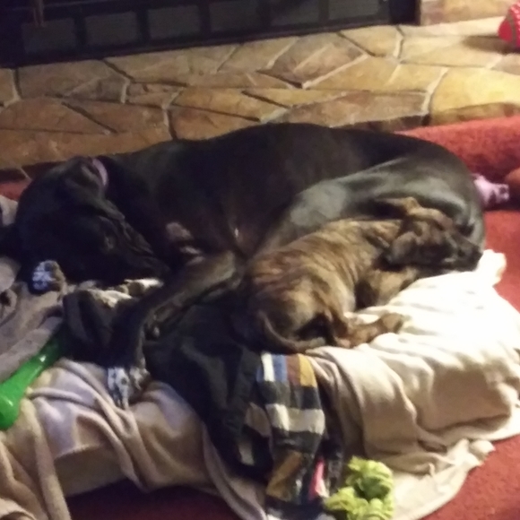 Meet your Posher, Juli - Picture 2 of 4